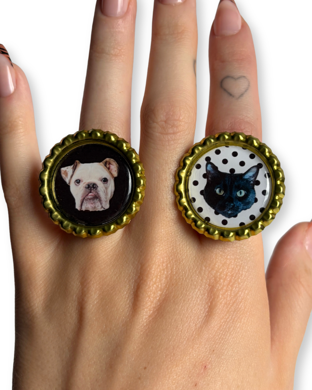 The Pet Ring