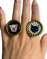 The Pet Ring