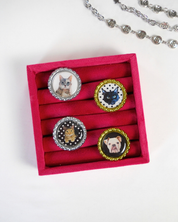 The Pet Ring