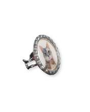 The Pet Ring