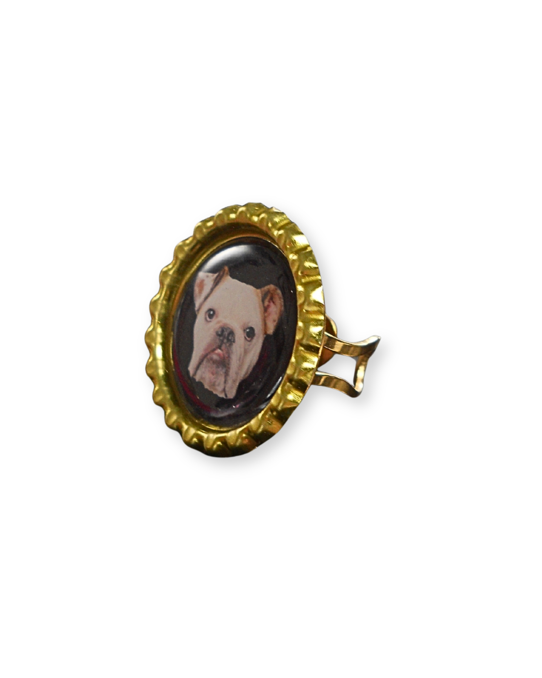The Pet Ring