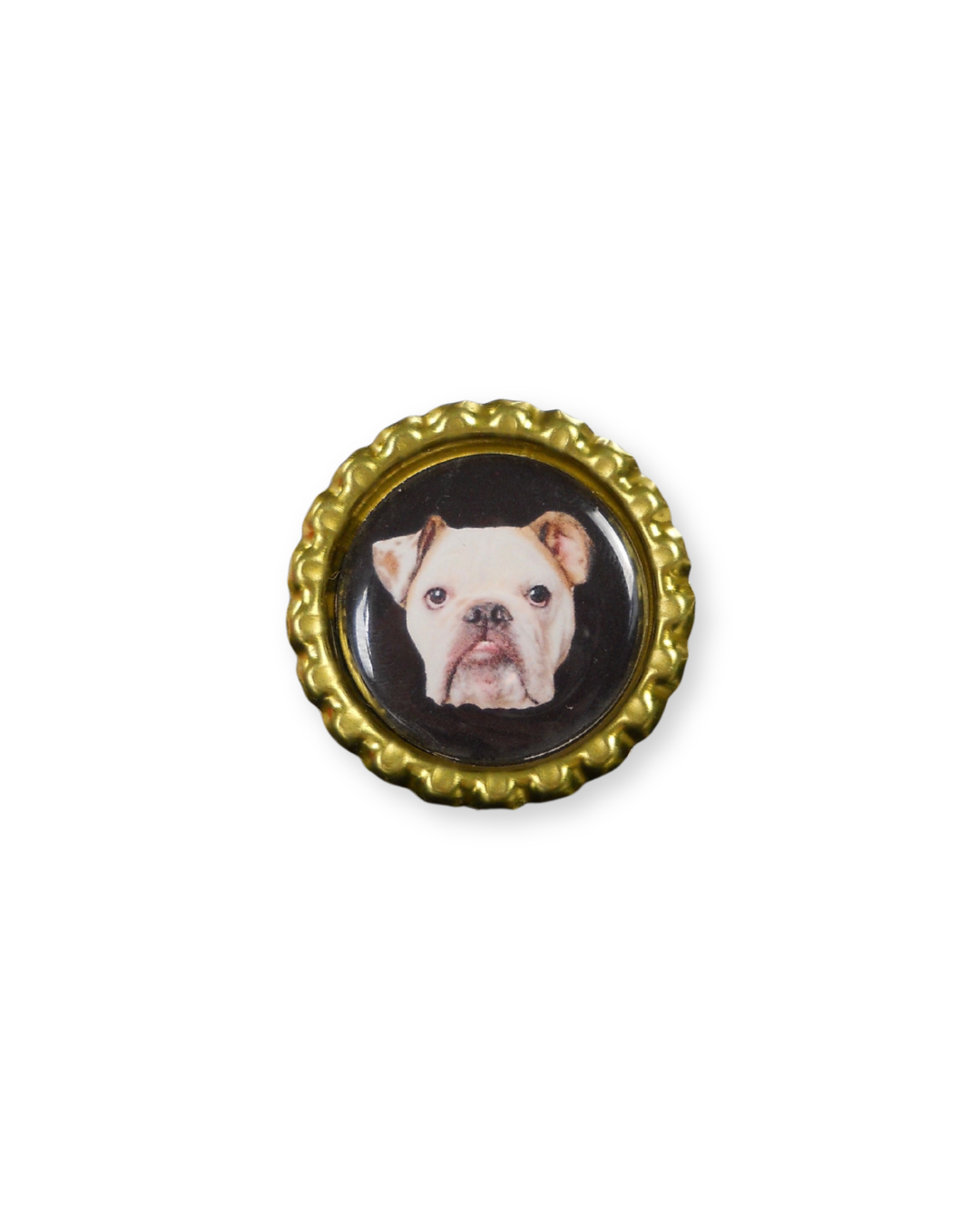 The Pet Ring