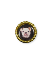 The Pet Ring