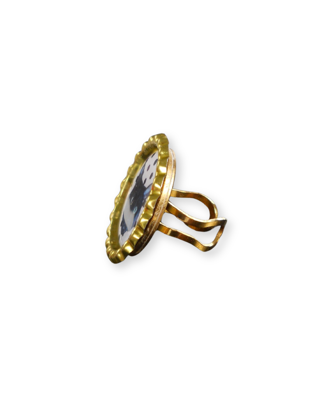 The Pet Ring