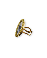 The Pet Ring