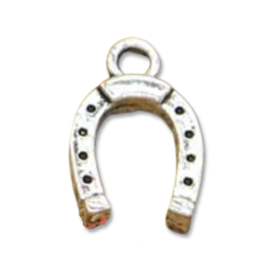 silver horseshoe charm